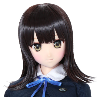 アゾネット | 商品一覧 | アゾン1/3ドール本体セット