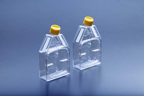 BM - 細胞培養フラスコ 150cm2 フィルターキャップ リクローザブル