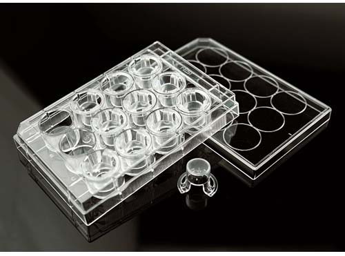 BM - 12セルカルチャーインサート/12ウェルプレート 8μm PCメンブレン