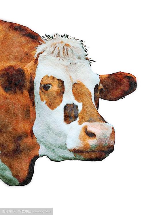 牛的水彩画图片大全牛的水彩画简笔画– 博物迷