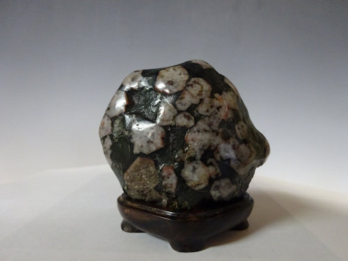 菊花石【 水石 20 ― 0 4 】 - 小品盆栽専門店 湘風園オンライン