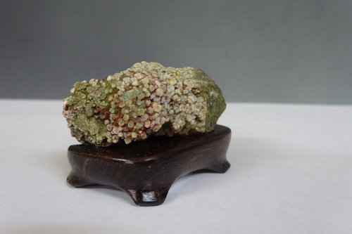 菊花石 (下仁田産) 【 水石 22 ― 03 】 - 小品盆栽専門店 湘風園