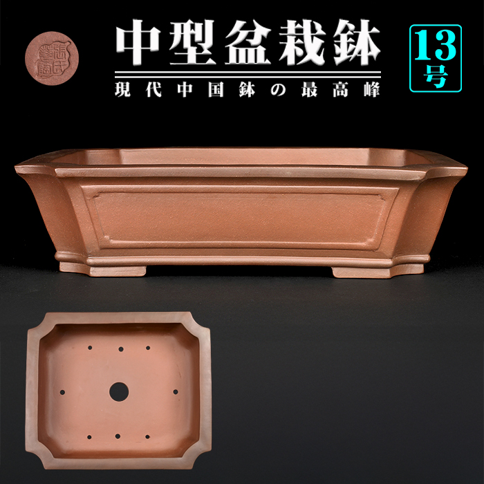 紫泥外縁隅切額面長方鉢 | 盆栽、盆栽書籍、盆栽鉢の通販│近代出版