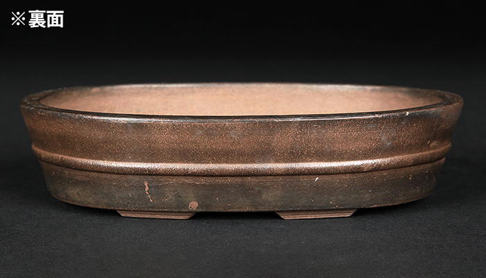 紫泥胴紐楕円鉢〔阿曼陀室〕 | 盆栽、盆栽書籍、盆栽鉢の通販│近代出版