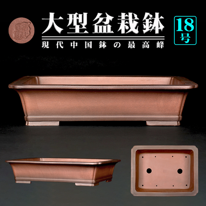 紫泥外縁下紐長方鉢 | 盆栽、盆栽書籍、盆栽鉢の通販│近代出版