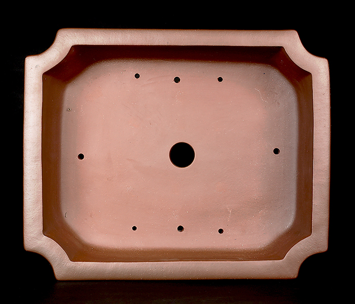 紫泥隅切額面長方鉢 | 盆栽、盆栽書籍、盆栽鉢の通販│近代出版