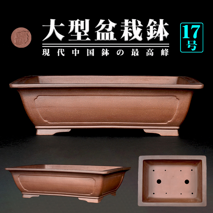 351 盆栽 盆栽鉢 植木鉢 中国鉢 351 盆栽 盆栽鉢 植木鉢 中国鉢 中国