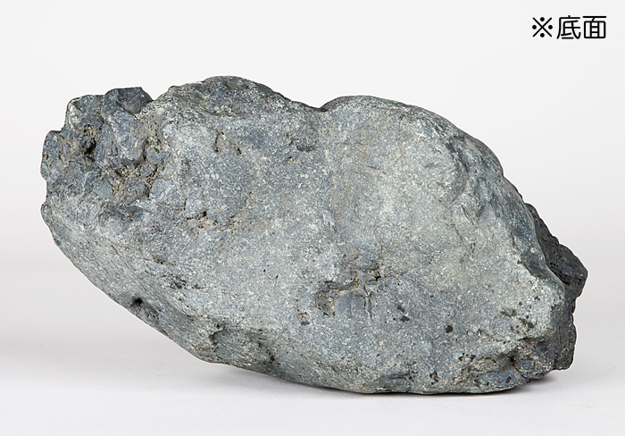 千軒石 | 盆栽、盆栽書籍、盆栽鉢の通販│近代出版