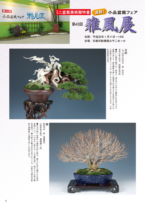 専山 専山造印 盆栽鉢 植木鉢 盆栽 専山 専山造印 盆栽鉢 植木鉢 盆栽