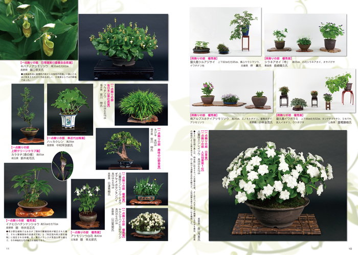 隔月刊「山野草とミニ盆栽」18年初夏号 | 盆栽、盆栽書籍、盆栽鉢の