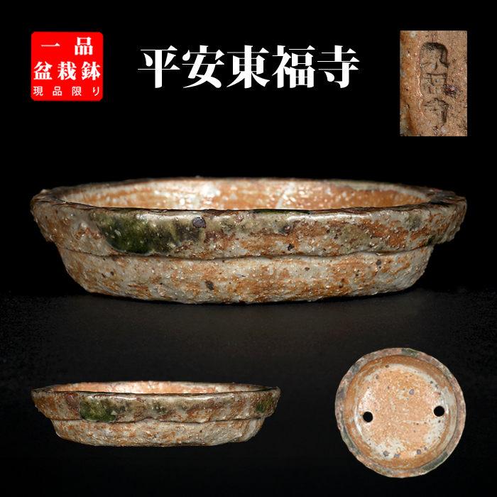 平安東福寺 | 盆栽、盆栽書籍、盆栽鉢の通販│近代出版