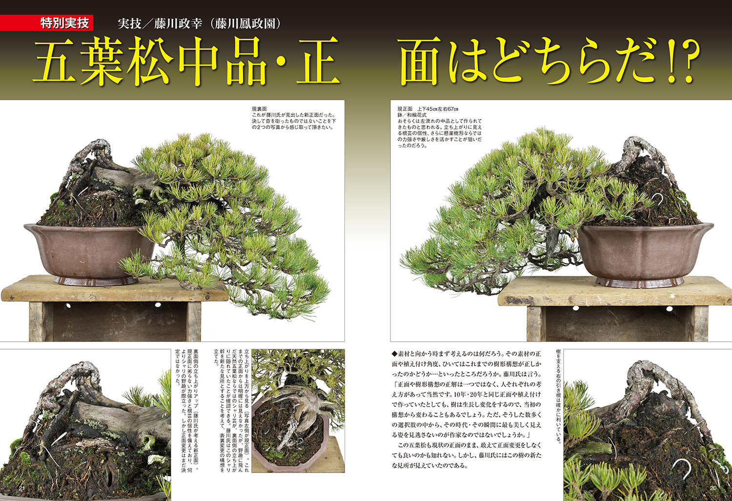 月刊「近代盆栽」2024年8月号 ※電子版のみ | 盆栽、盆栽書籍、盆栽鉢の