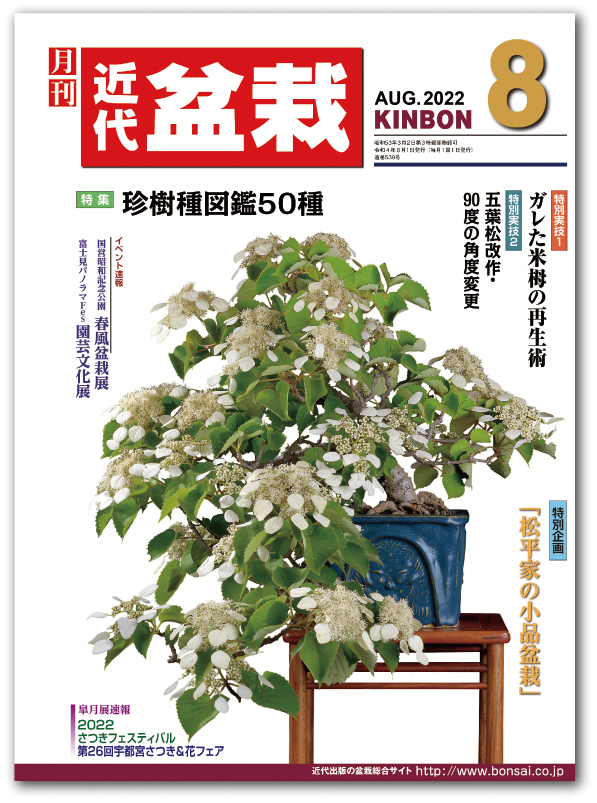 月刊「近代盆栽」2022年8月号 | 盆栽、盆栽書籍、盆栽鉢の通販│近代出版