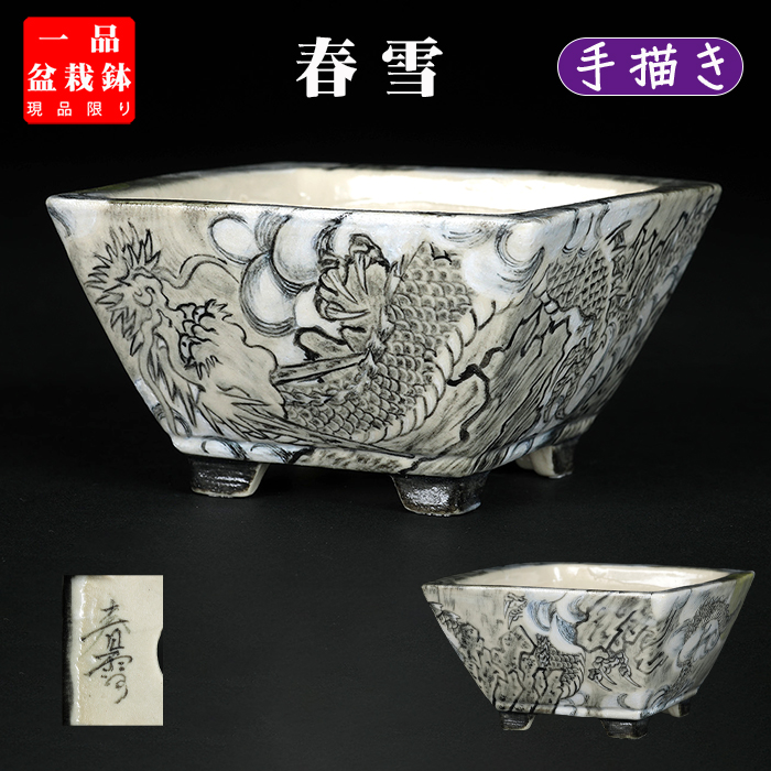 春雪墨絵龍図正方鉢 | 盆栽、盆栽書籍、盆栽鉢の通販│近代出版