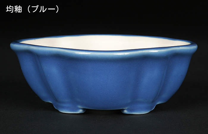 KINBONオリジナル盆栽鉢 木瓜型 | 盆栽、盆栽書籍、盆栽鉢の通販│近代出版