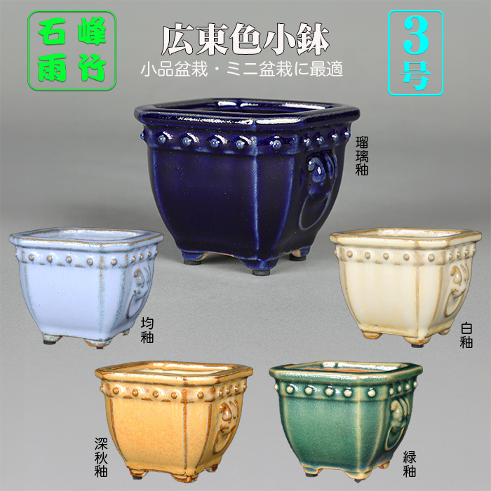 現代中国鉢 | 盆栽、盆栽書籍、盆栽鉢の通販│近代出版