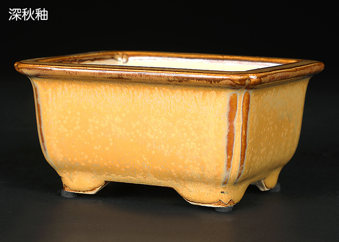 広東隅入長方鉢〔石峰雨竹〕 | 盆栽、盆栽書籍、盆栽鉢の通販│近代出版