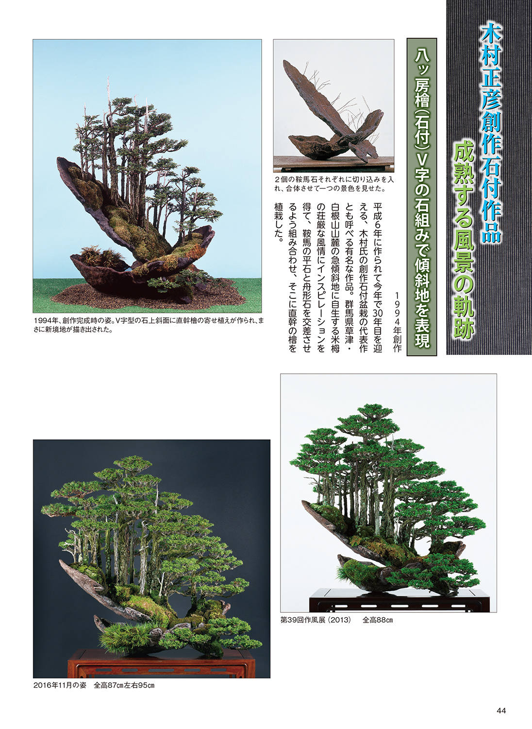 月刊「近代盆栽」2023年9月号 | 盆栽、盆栽書籍、盆栽鉢の通販│近代出版