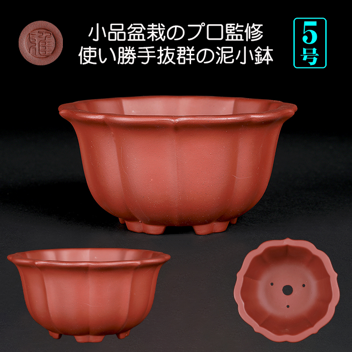 現代中国鉢 | 盆栽、盆栽書籍、盆栽鉢の通販│近代出版