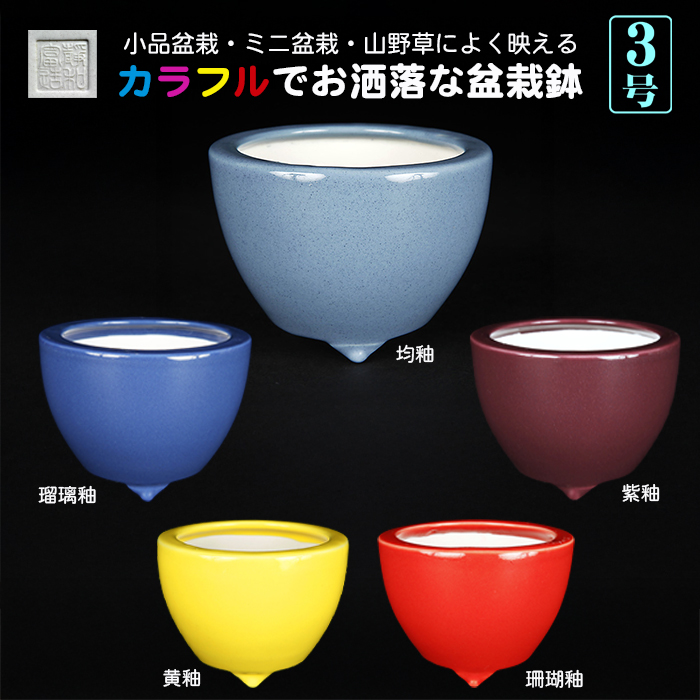 カラフル色小鉢〔静和富造〕 | 盆栽、盆栽書籍、盆栽鉢の通販│近代出版