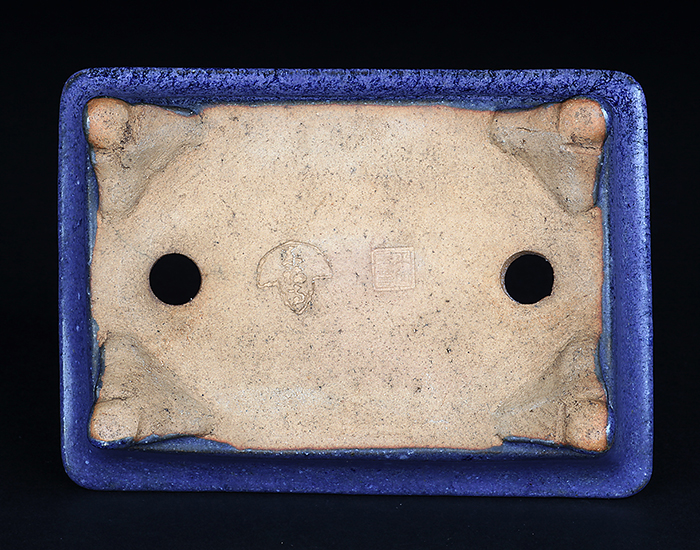 東福寺瑠璃釉窯変長方鉢 | 盆栽、盆栽書籍、盆栽鉢の通販│近代出版