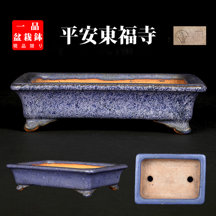 東福寺瑠璃釉窯変長方鉢 | 盆栽、盆栽書籍、盆栽鉢の通販│近代出版
