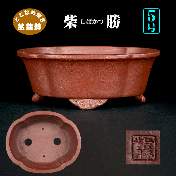 柴勝外縁木瓜式鉢 | 盆栽、盆栽書籍、盆栽鉢の通販│近代出版