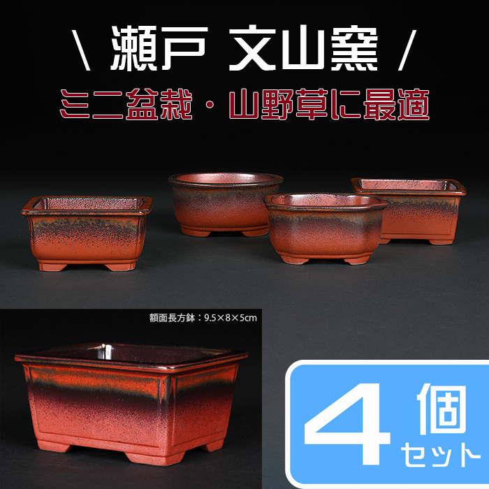 文山窯 | 盆栽、盆栽書籍、盆栽鉢の通販│近代出版