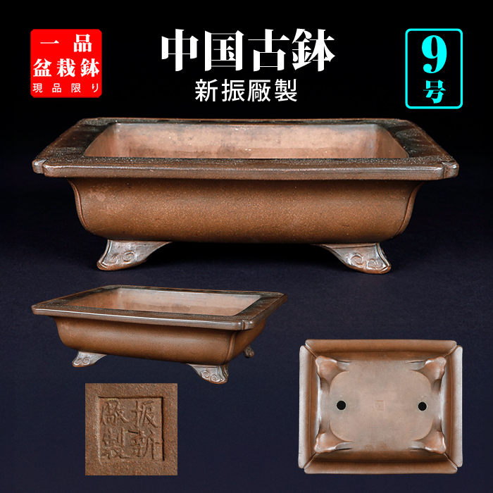 紫泥外縁雲足長方鉢〔振新厰製〕 | 盆栽、盆栽書籍、盆栽鉢の通販