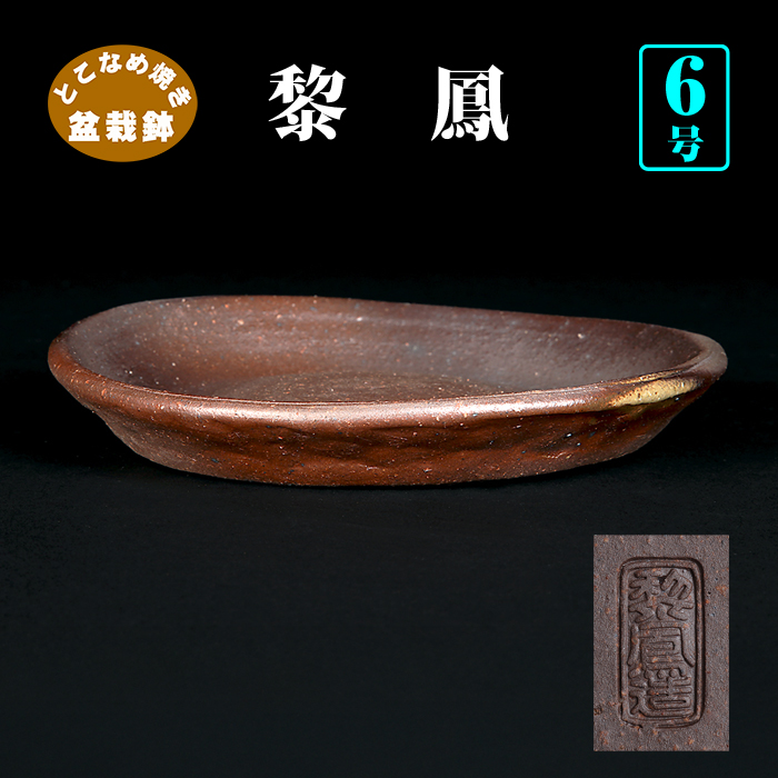 常滑鉢 | 盆栽、盆栽書籍、盆栽鉢の通販│近代出版