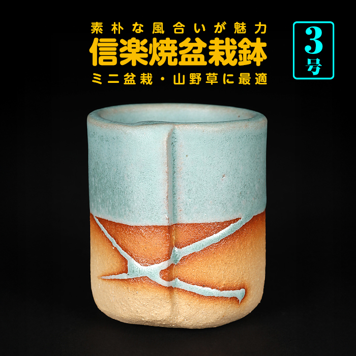 サイズ別 | 盆栽、盆栽書籍、盆栽鉢の通販│近代出版