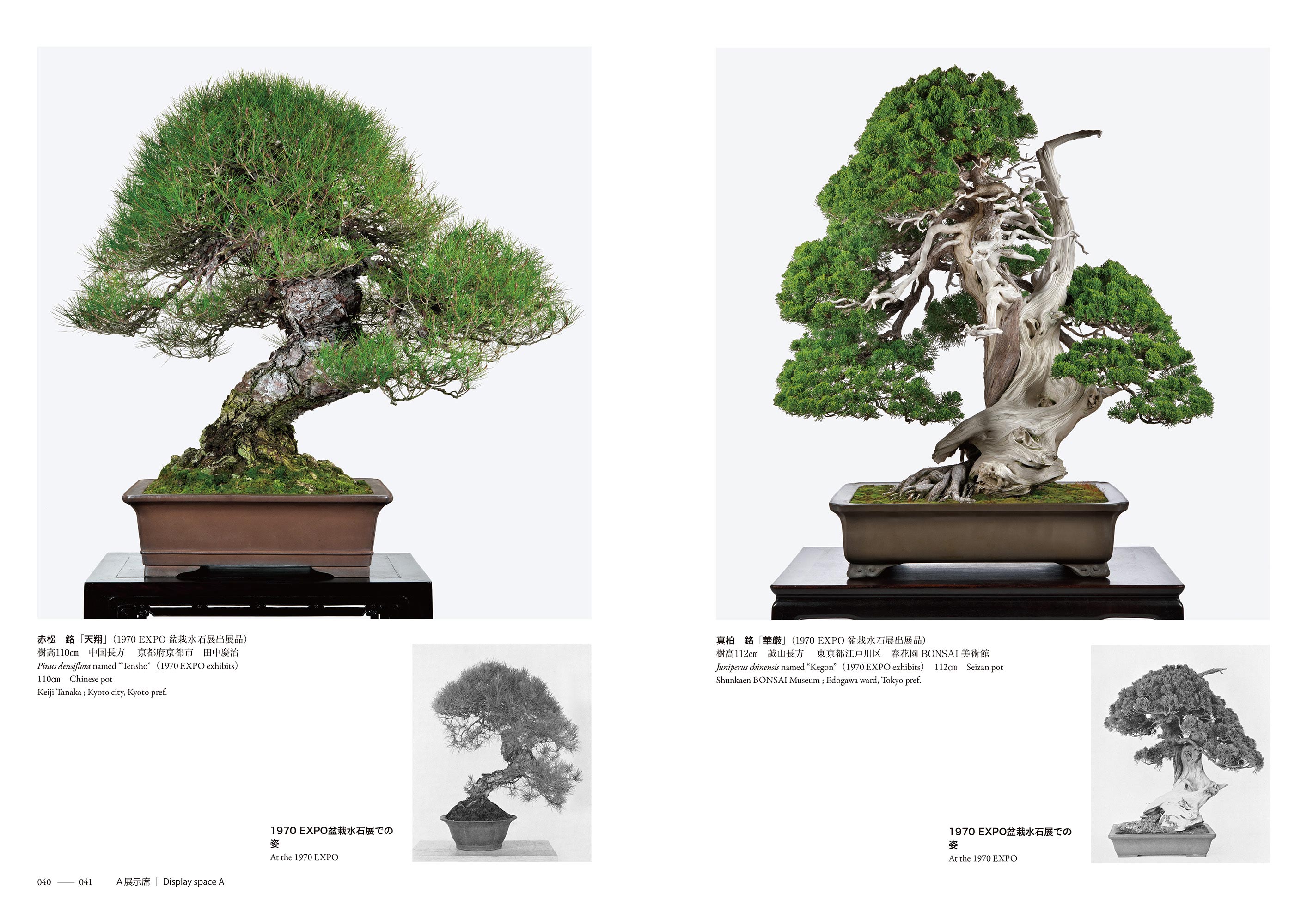EXPO2025 日本盆栽•水石展記念帳 | 盆栽、盆栽書籍、盆栽鉢の通販