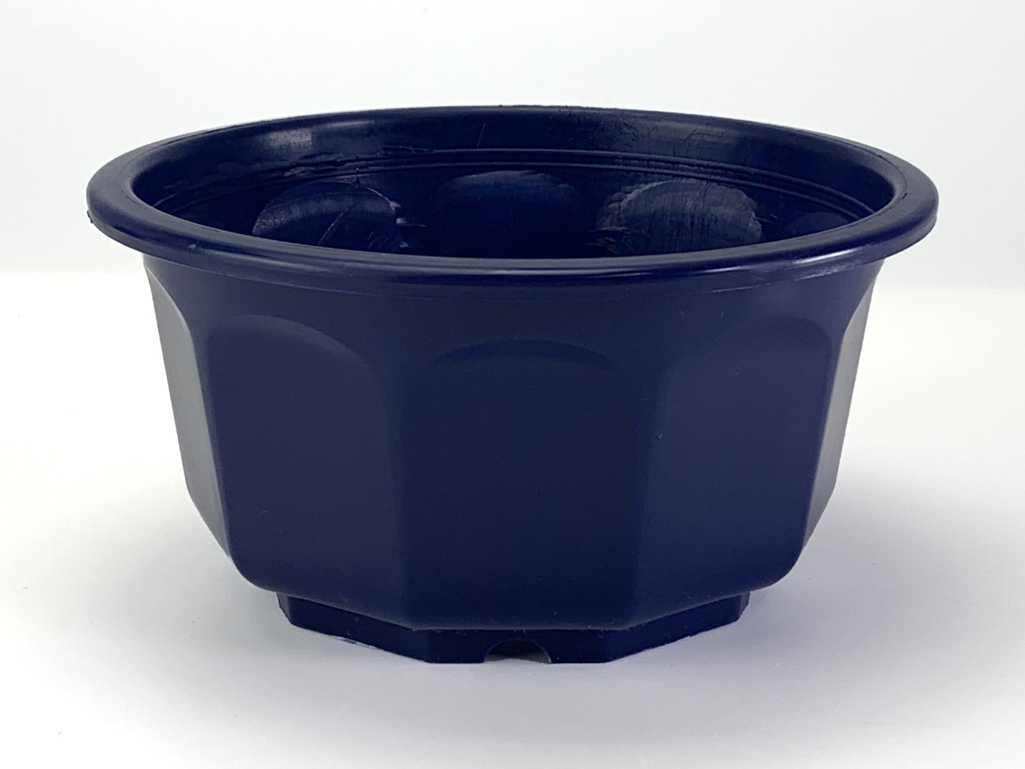 プラ鉢 5号 浅型和鉢 青 5AS 幅15cm×高さ7.5cm の販売｜盆栽妙 – 盆栽