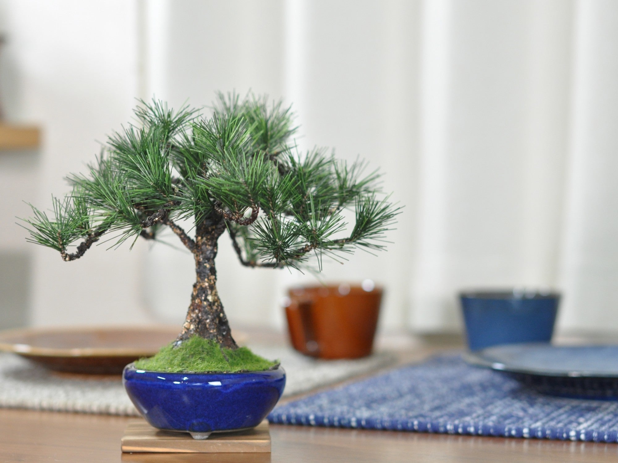 造花盆栽 松 直幹の販売｜盆栽妙 – 盆栽妙 本店