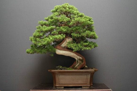 1443_1_4af9e194-0a91-4d75-a4aa