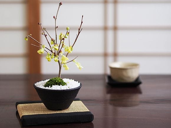 2363_1_e49652d8-e702-40f1-a440