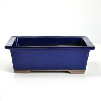 盆栽鉢 植木鉢の販売｜盆栽妙 – 盆栽妙 本店