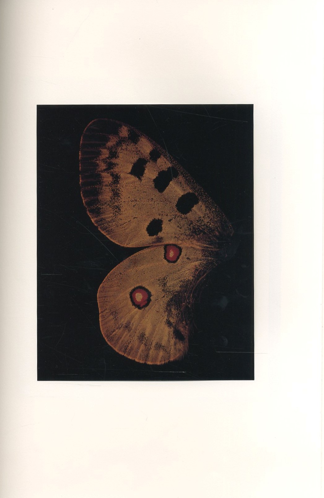 INTO THE SILENT LAND / 写真：上田義彦 編：都築響一 文：ブライアン