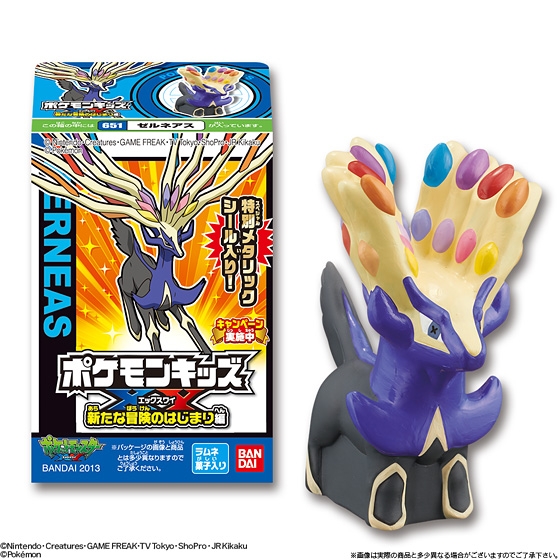 ポケモンキッズXY 新たな冒険のはじまり編｜発売日：2013年10月14日