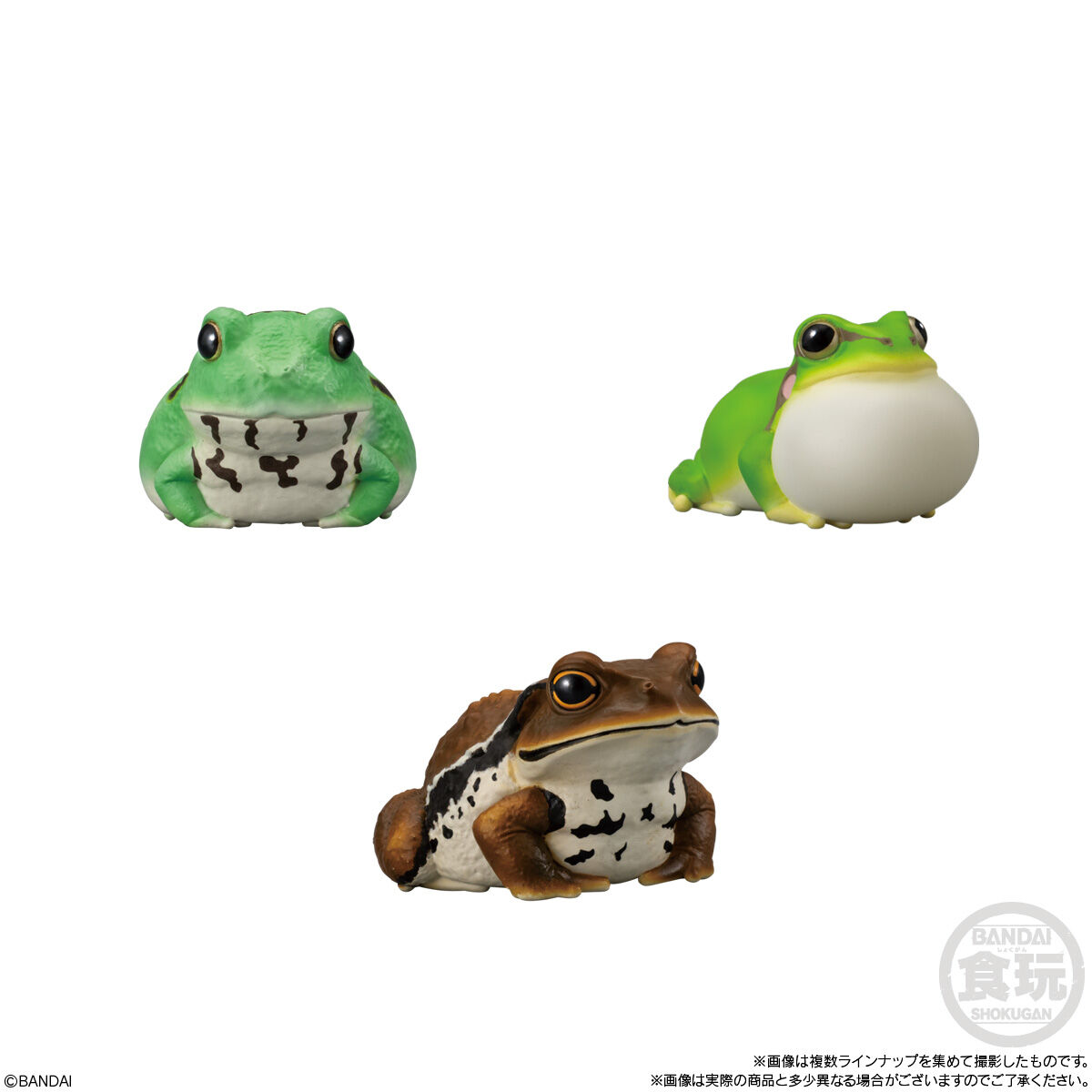 てのりフレンズ12｜発売日：2025年10月20日｜バンダイ キャンディ公式