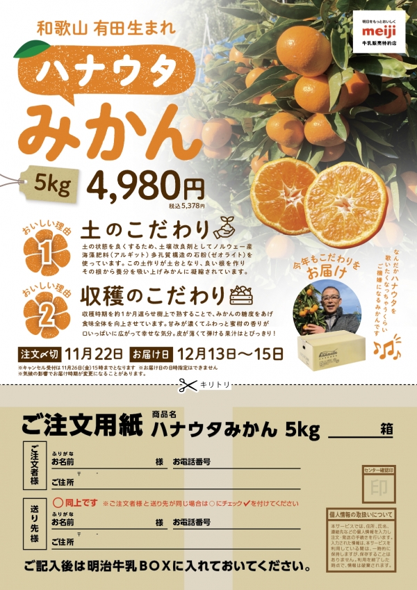 デザイン案 みかん注文書｜新着情報｜神奈川県横浜エリアのチラシ配布