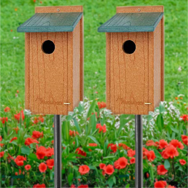 Audubon Premium Bluebird House Package with Poles at BestNest.com