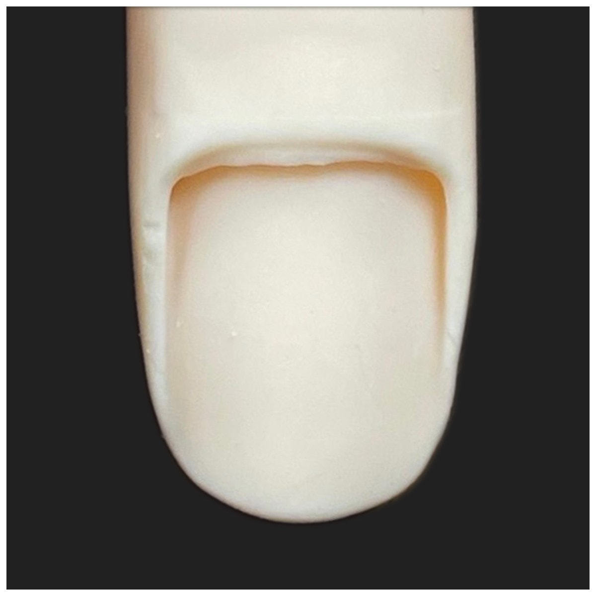 STモデルハンド セット（JNEC 第1期認定モデルハンド）の卸・通販