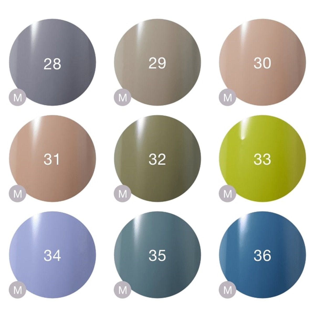 Raygel カラージェル 選べる6色セットの卸・通販 | ビューティガレージ