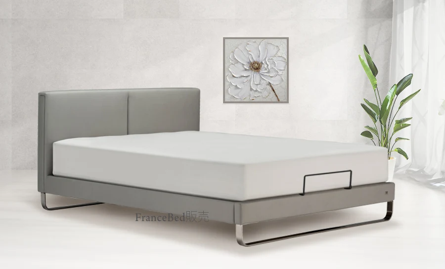 フランスベッド IQ-シリーズ - ベッドフレーム