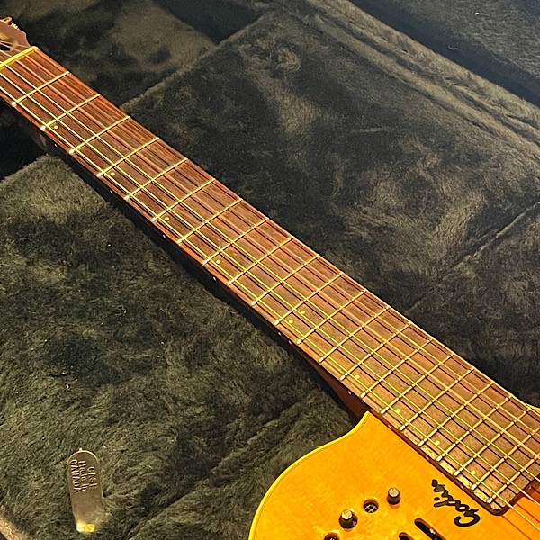 Godin Multiac Duet Nylon | Big City Guitars