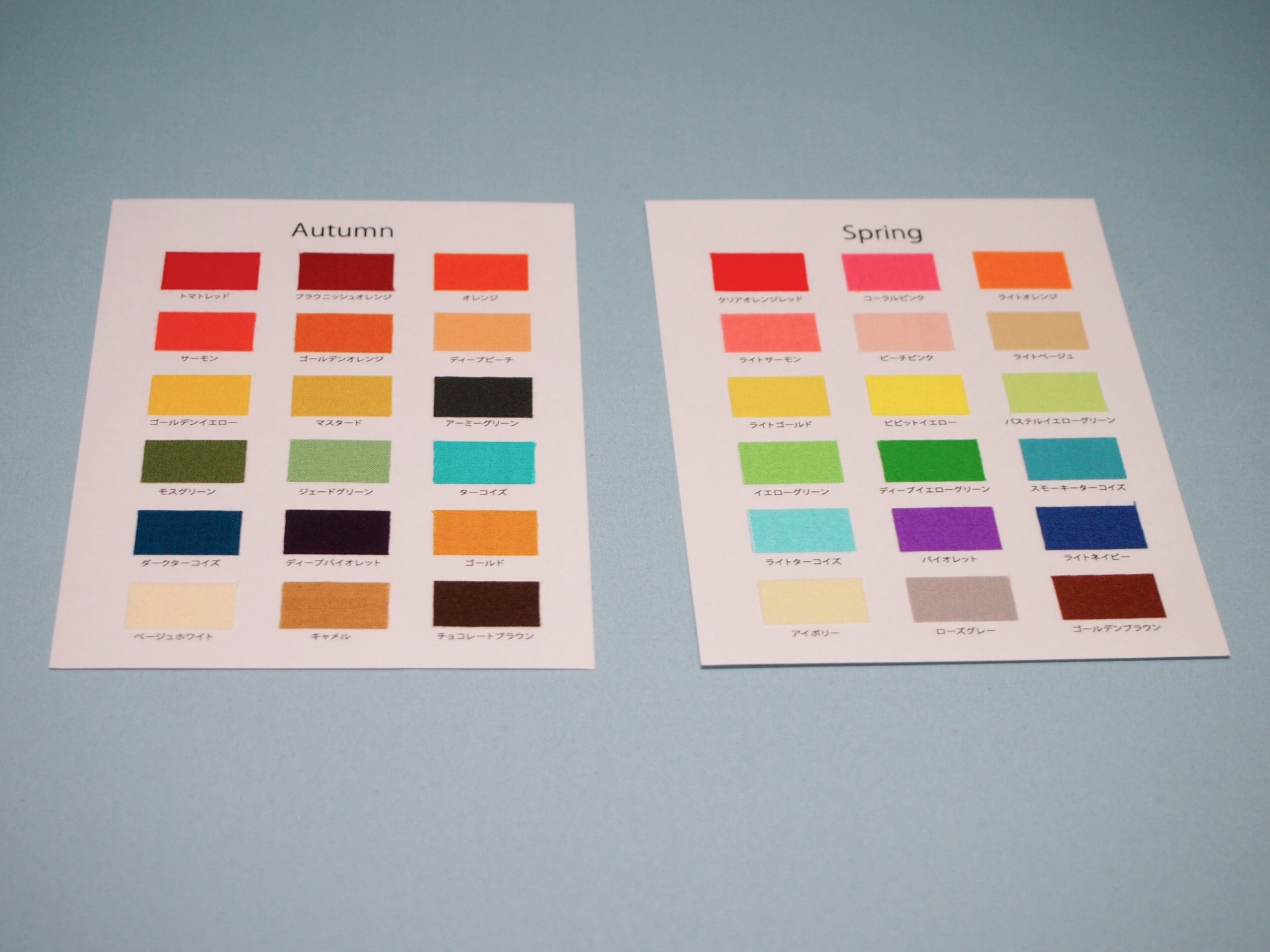 18色スウォッチカード | パーソナルカラー教材・ツールのビッグ