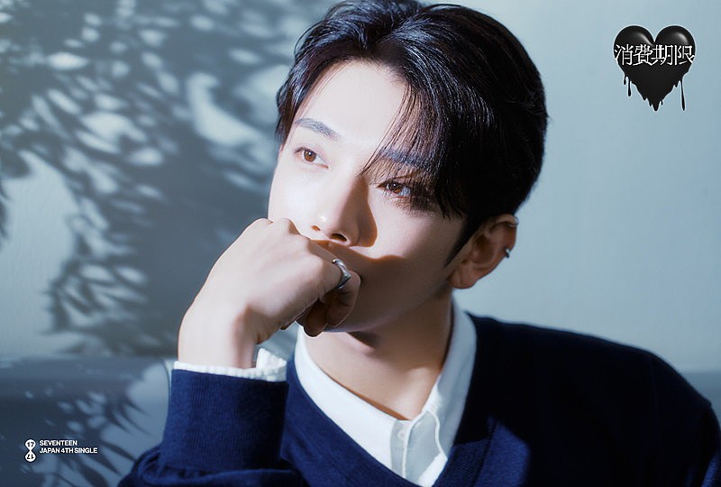SEVENTEENが癒し＆傷を表現、日本4thシングル『消費期限』コンセプト