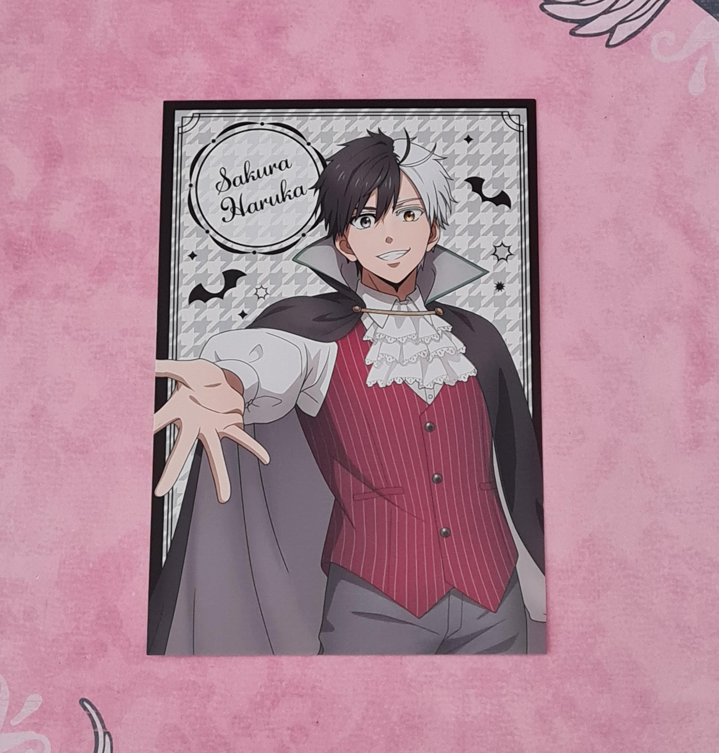 Wind Breaker Sakura Haruka Post Card – Biohazard Candy