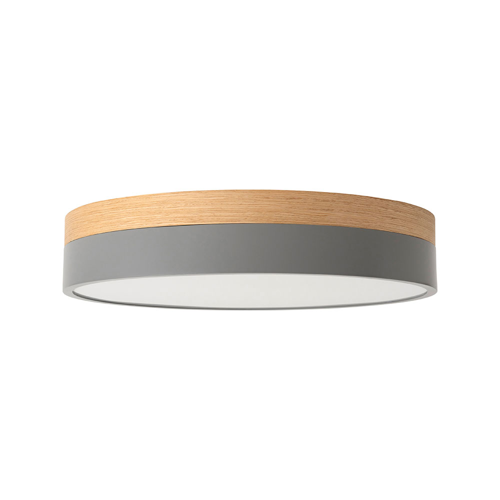 003371 Olika LED CEILING LIGHT Ver.2 | BRID